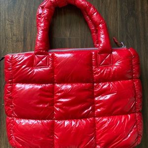 Iskin laptop bag/ purse.